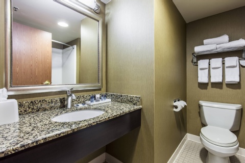 Delta Hotels Fargo , ND 58103-3323 near Hector International Airport View Point 21