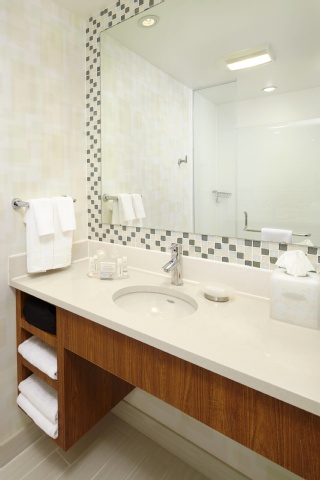 SpringHill Suites by Marriott Houston Intercontinental Airport , TX 77032 near George Bush Intercontinental Airport View Point 22